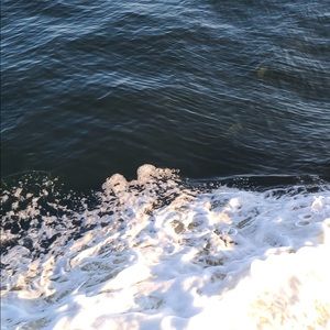 Meet your Posher, Sofia